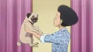 Pug and Hug on a Moonlit Night still