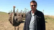 South Africa: Hidden Gems still
