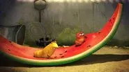 Watermelon still
