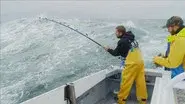 Hold Fast still