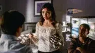 Undeclared (1) still