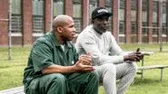 Raised in the System still