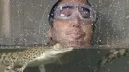 Flash Flood still