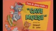 Cave Mouse still