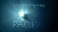 A Turtle's Guide to the Pacific still