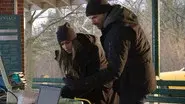 The Battle of Central Park still