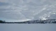 Into the Dark still