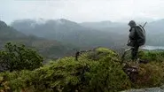 Into the Clouds: Sitka Blacktail Deer still