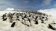 Our Rising Oceans still