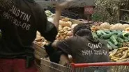 Off Your Trolley still