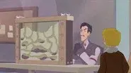 Bugs in the System still