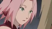Road to Sakura still