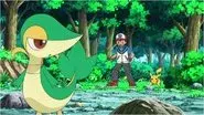 Snivy Plays Hard to Catch! still