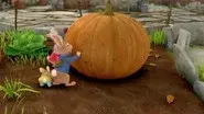 The Tale of the Giant Pumpkin still