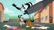 Yakko Amakko still