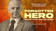 Forgotten Hero: Walter White and The NAACP still