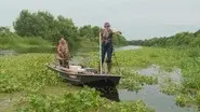 Flash Flood still