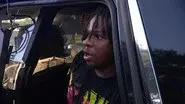 Fight, Flight, or Chill still
