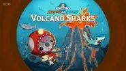 Volcano Sharks still