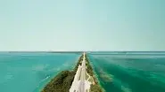 Florida still