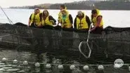 Fishing Boat Salmon Challenge still