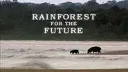Rainforests for the Future still