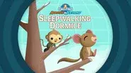 The Octonauts and the Sleepwalking Dormice still