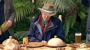 Final: Bushtucker Bonanza / The Log Bog / The Eel Transfer still