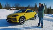 An Itchy Urus still