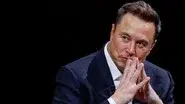 Elon Musk's Twitter Takeover still
