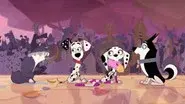 Poodlewolf! still