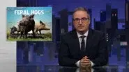 June 21, 2026: Feral Hogs still