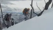 High Country Mountain Goat still