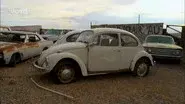 Bed, Bug & Beyond still