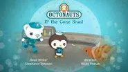 The Cone Snail still