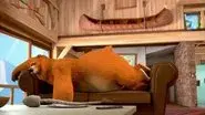 Shaken-up Bear still