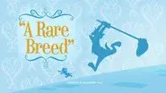 A Rare Breed still