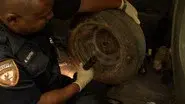 Predator still