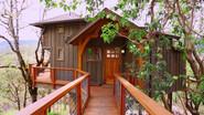 Backyard Bungalow still