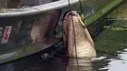 Monster Season still