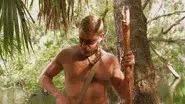 Swamp Don't Care still