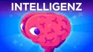 What Is Intelligence? Where Does it Begin? still