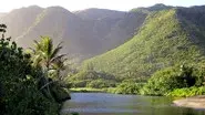Hawaii still