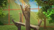 Lemur at Large still
