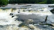 Guyana (3) still