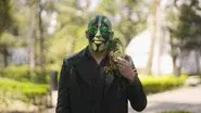 Mr. Iguana still