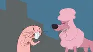 Rufus vs. Commodore Puddles still