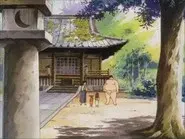 Strive for the Grand Championship: Toramaru's Sumo Battle Log! still