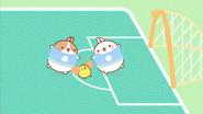 The Soccer Match still