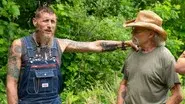 Goldshiner still